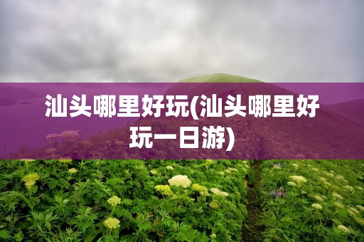 汕头哪里好玩(汕头哪里好玩一日游)