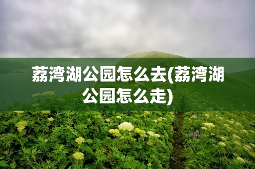 荔湾湖公园怎么去(荔湾湖公园怎么走)