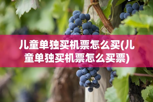 儿童单独买机票怎么买(儿童单独买机票怎么买票)