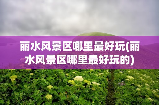 丽水风景区哪里最好玩(丽水风景区哪里最好玩的)
