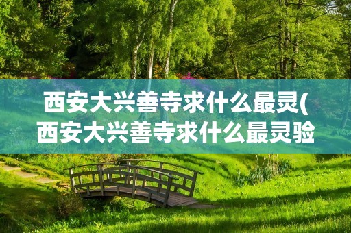 西安大兴善寺求什么最灵(西安大兴善寺求什么最灵验)