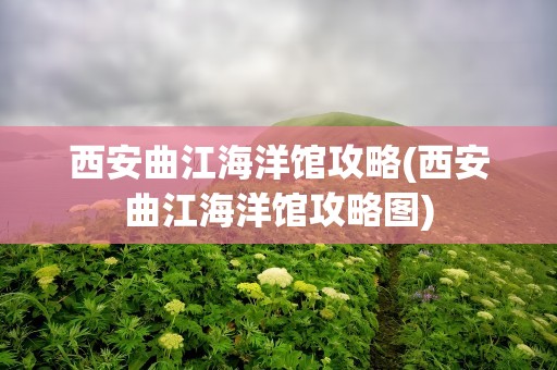 西安曲江海洋馆攻略(西安曲江海洋馆攻略图)