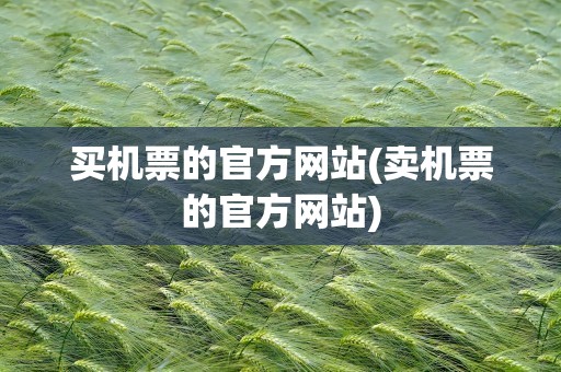 买机票的官方网站(卖机票的官方网站)