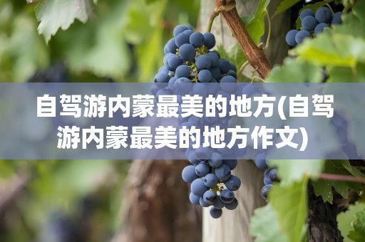 自驾游内蒙最美的地方(自驾游内蒙最美的地方作文)