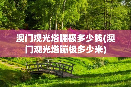 澳门观光塔蹦极多少钱(澳门观光塔蹦极多少米)