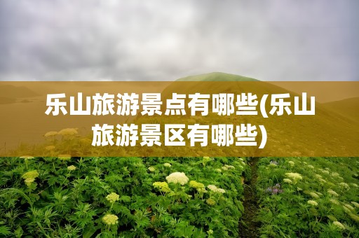 乐山旅游景点有哪些(乐山旅游景区有哪些)