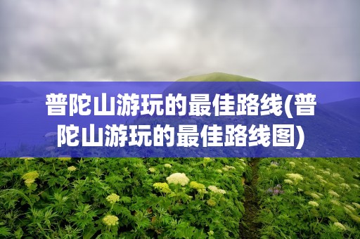 普陀山游玩的最佳路线(普陀山游玩的最佳路线图)