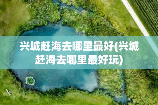 兴城赶海去哪里最好(兴城赶海去哪里最好玩)