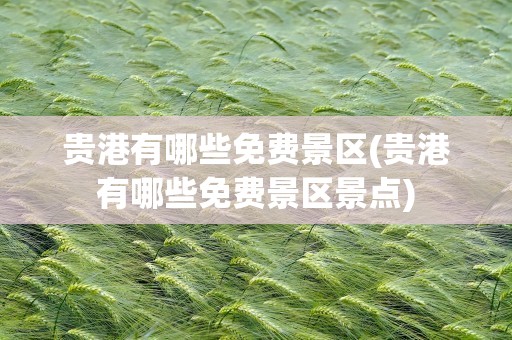 贵港有哪些免费景区(贵港有哪些免费景区景点)