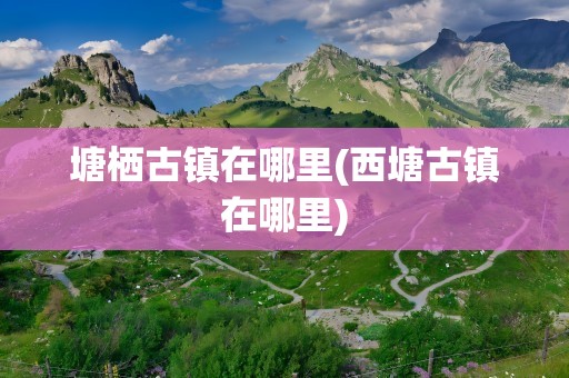 塘栖古镇在哪里(西塘古镇在哪里)
