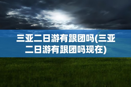 三亚二日游有跟团吗(三亚二日游有跟团吗现在)