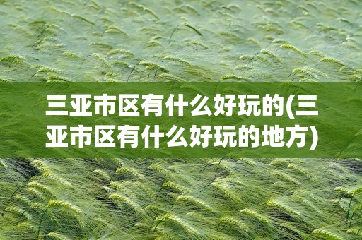 三亚市区有什么好玩的(三亚市区有什么好玩的地方)
