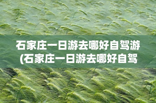石家庄一日游去哪好自驾游(石家庄一日游去哪好自驾游路线)