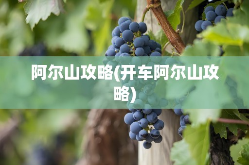 阿尔山攻略(开车阿尔山攻略)