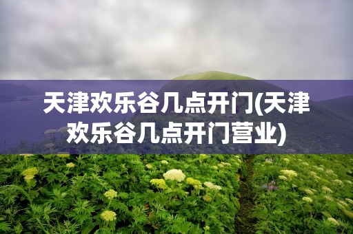 天津欢乐谷几点开门(天津欢乐谷几点开门营业)
