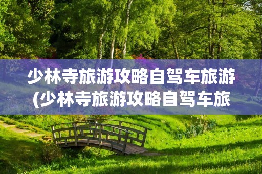 少林寺旅游攻略自驾车旅游(少林寺旅游攻略自驾车旅游路线)