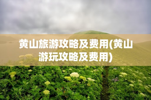 黄山旅游攻略及费用(黄山游玩攻略及费用)