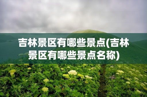 吉林景区有哪些景点(吉林景区有哪些景点名称)
