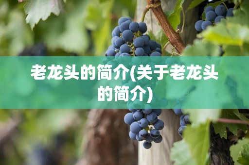 老龙头的简介(关于老龙头的简介)