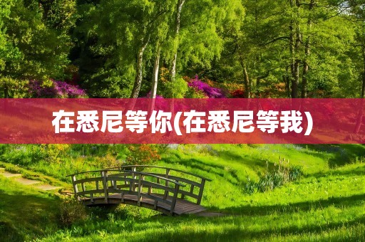 在悉尼等你(在悉尼等我)
