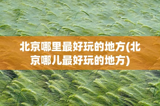 北京哪里最好玩的地方(北京哪儿最好玩的地方)
