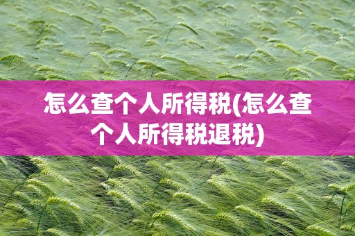 怎么查个人所得税(怎么查个人所得税退税)