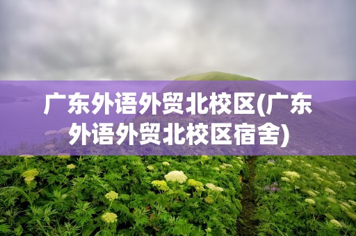 广东外语外贸北校区(广东外语外贸北校区宿舍)