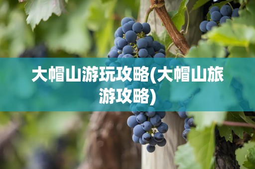 大帽山游玩攻略(大帽山旅游攻略)