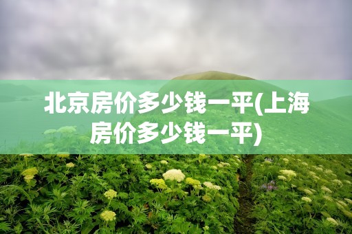 北京房价多少钱一平(上海房价多少钱一平)