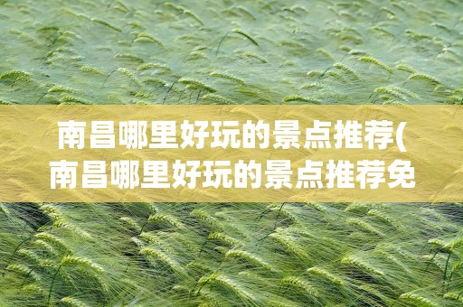 南昌哪里好玩的景点推荐(南昌哪里好玩的景点推荐免费)