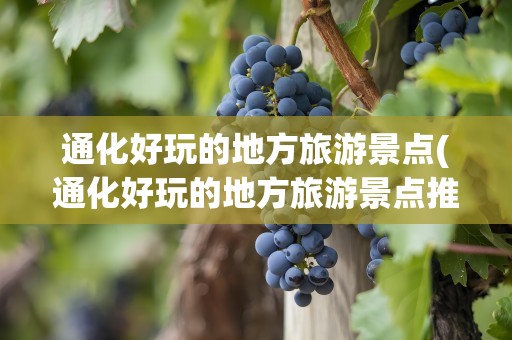 通化好玩的地方旅游景点(通化好玩的地方旅游景点推荐)