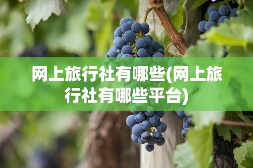 网上旅行社有哪些(网上旅行社有哪些平台)