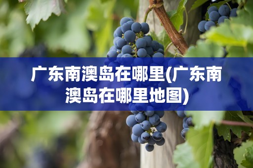 广东南澳岛在哪里(广东南澳岛在哪里地图)