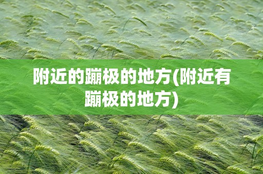 附近的蹦极的地方(附近有蹦极的地方)
