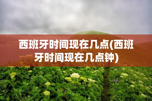 西班牙时间现在几点(西班牙时间现在几点钟)