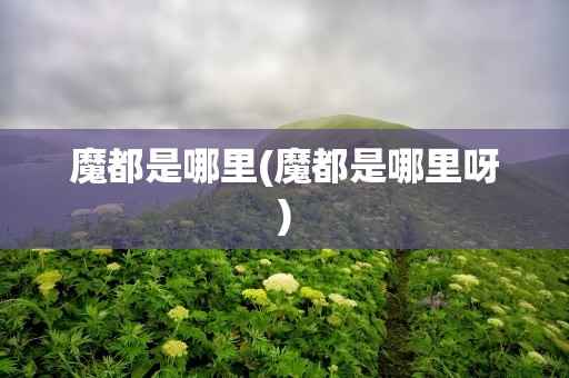 魔都是哪里(魔都是哪里呀)
