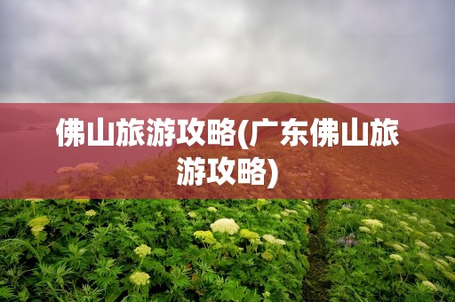 佛山旅游攻略(广东佛山旅游攻略)