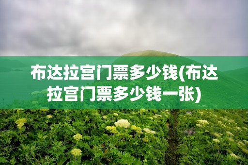 布达拉宫门票多少钱(布达拉宫门票多少钱一张)