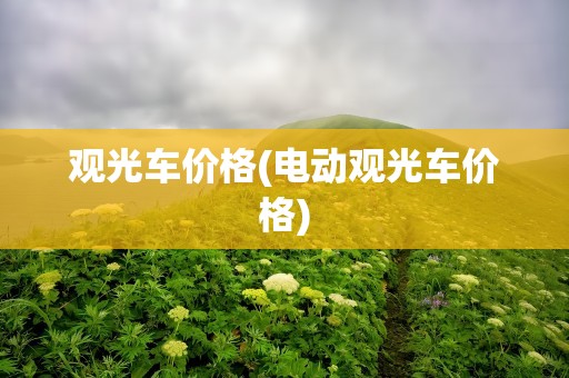 观光车价格(电动观光车价格)