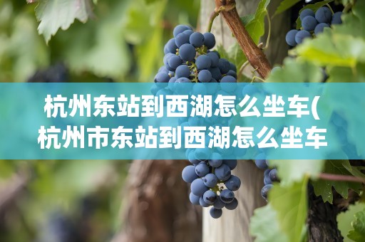 杭州东站到西湖怎么坐车(杭州市东站到西湖怎么坐车)