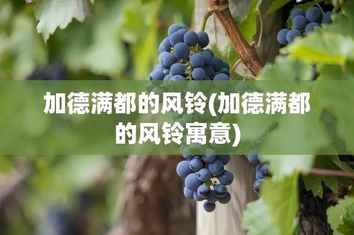 加德满都的风铃(加德满都的风铃寓意)