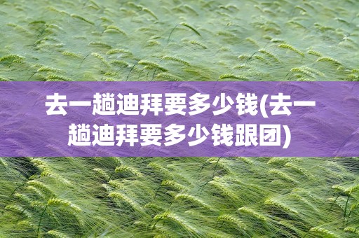 去一趟迪拜要多少钱(去一趟迪拜要多少钱跟团)