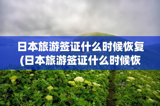 日本旅游签证什么时候恢复(日本旅游签证什么时候恢复的)
