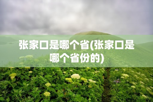 张家口是哪个省(张家口是哪个省份的)