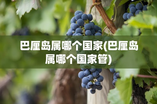 巴厘岛属哪个国家(巴厘岛属哪个国家管)