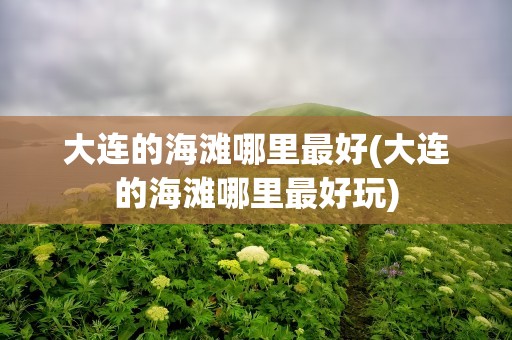 大连的海滩哪里最好(大连的海滩哪里最好玩)