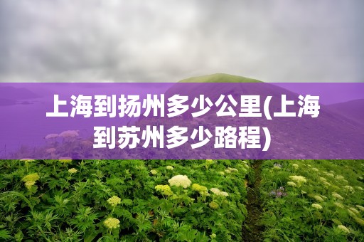 上海到扬州多少公里(上海到苏州多少路程)