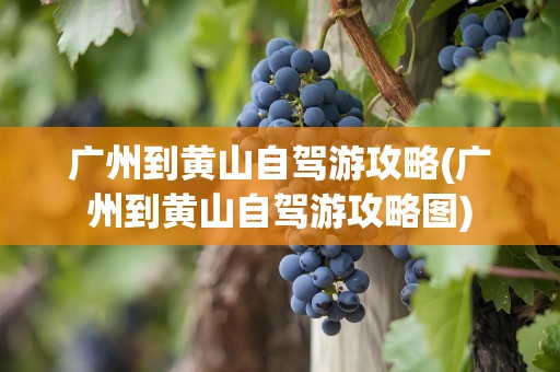 广州到黄山自驾游攻略(广州到黄山自驾游攻略图)