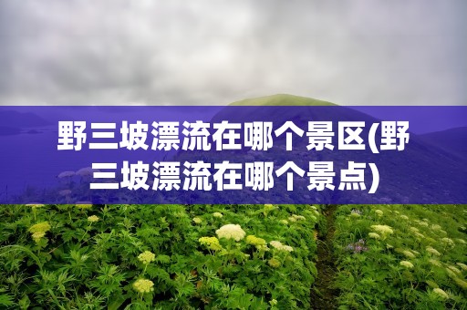 野三坡漂流在哪个景区(野三坡漂流在哪个景点)