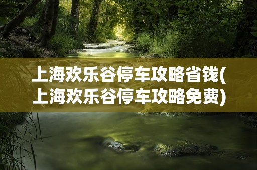 上海欢乐谷停车攻略省钱(上海欢乐谷停车攻略免费)